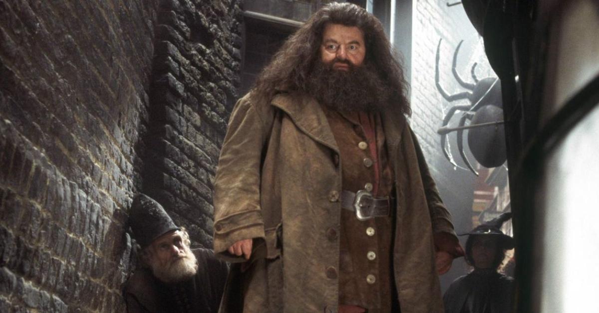 Robbie Coltrane som Rubeus Hagrid i 'Harry Potter and the Chamber of Secrets'.
