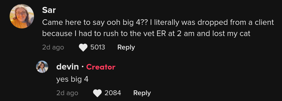 Commenti su un post virale su una lavoratrice aziendale delle Big 4 che doveva dire ai colleghi quando avrebbe fatto la doccia.