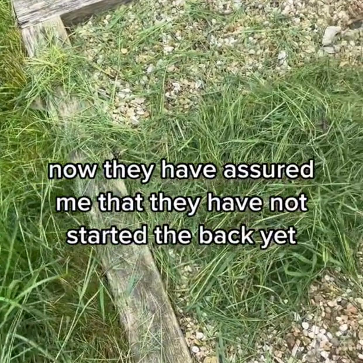 gräsklipp på marken