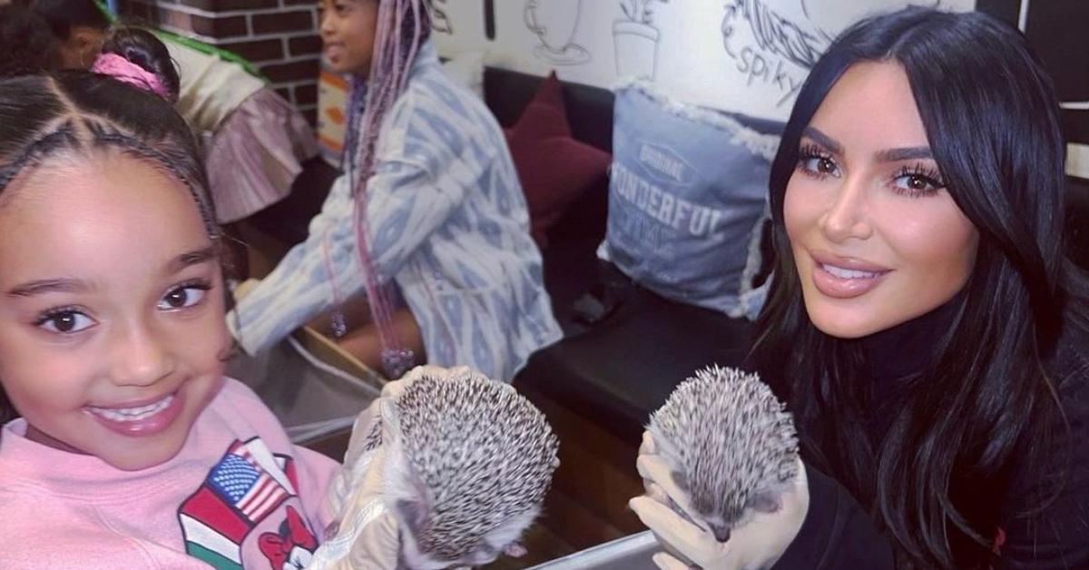 Chicago West와 Kim Kardashian은 아기 고슴도치를 안고 있습니다.