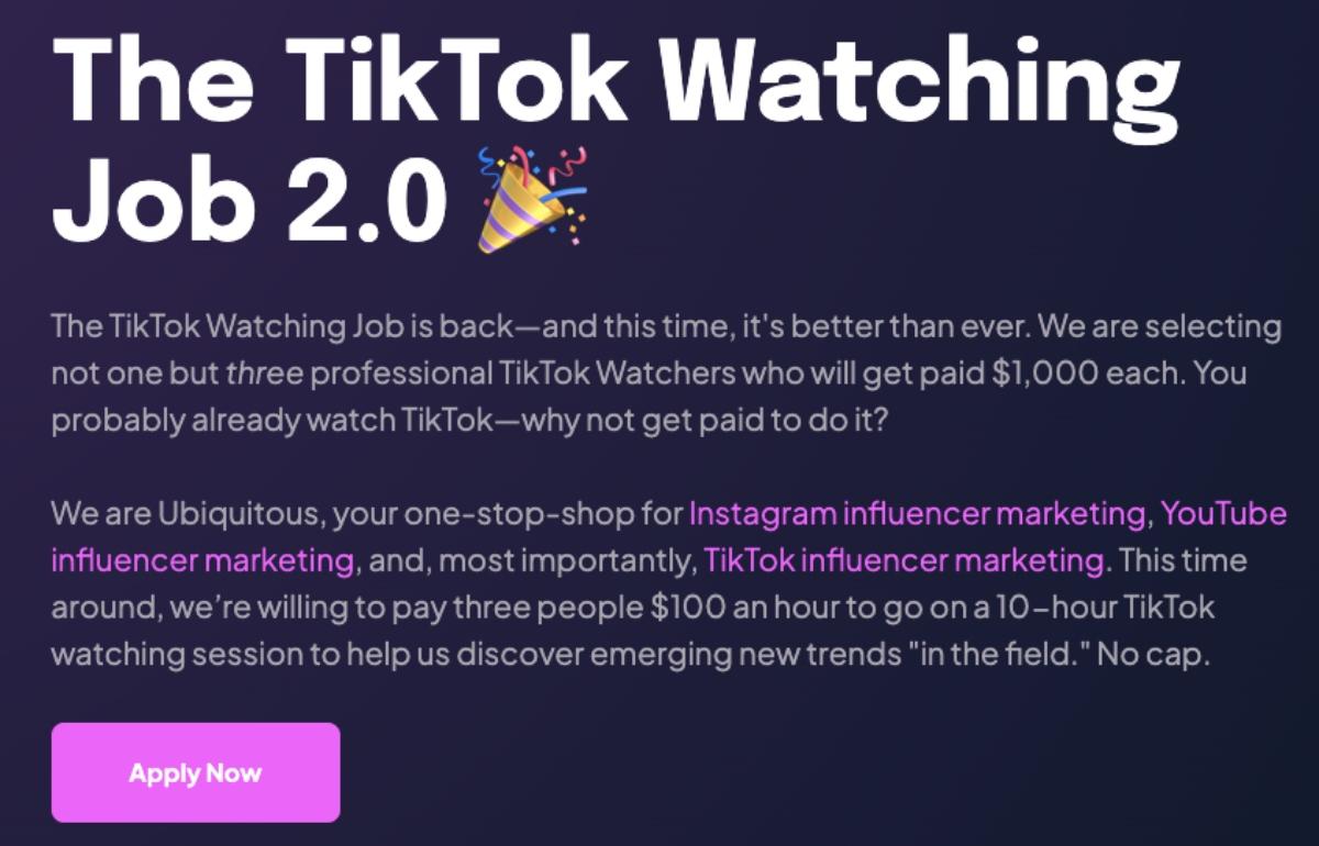 ユビキタスな影響力 TikTok 視聴の仕事内容