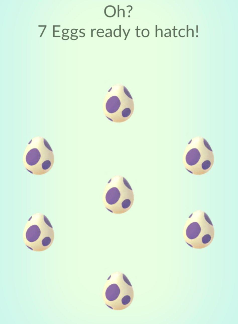 Sette uova pronte a schiudersi in 