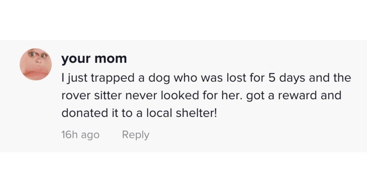 Un commentatore ha condiviso un'esperienza con un cane smarrito e un sitter Rover