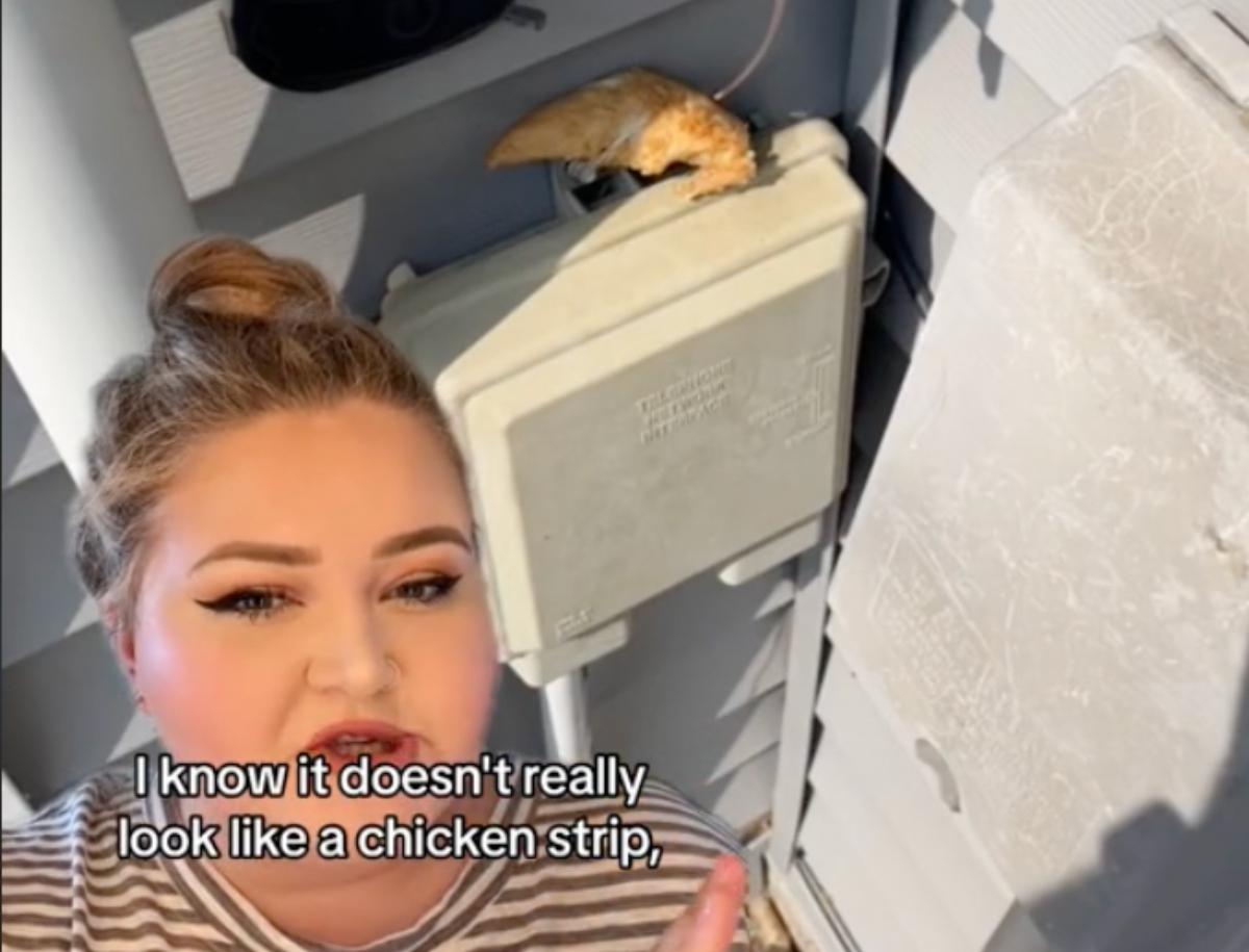 Et skærmbillede af kyllingen efterladt uden for skaberens hjem 