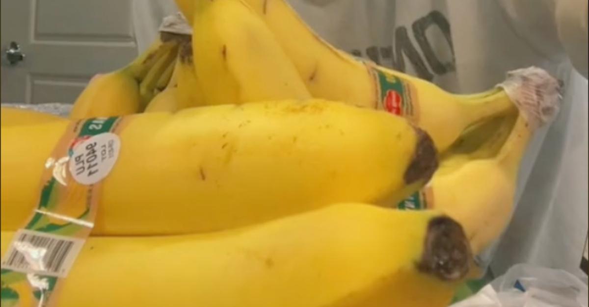TikTok-skaber @dani_mignone deler historie om, hvordan hun fik 17 bananer efter at have bestilt tre på Instacart