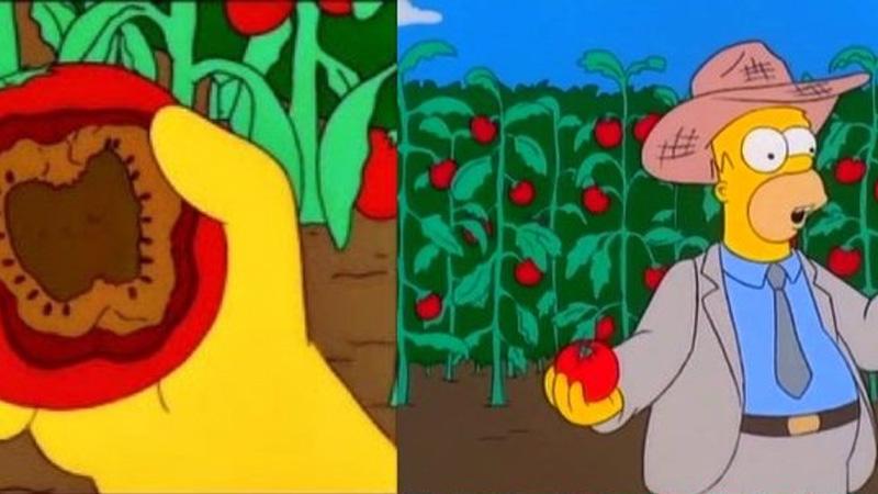 Simpsons mutierte Tomaten