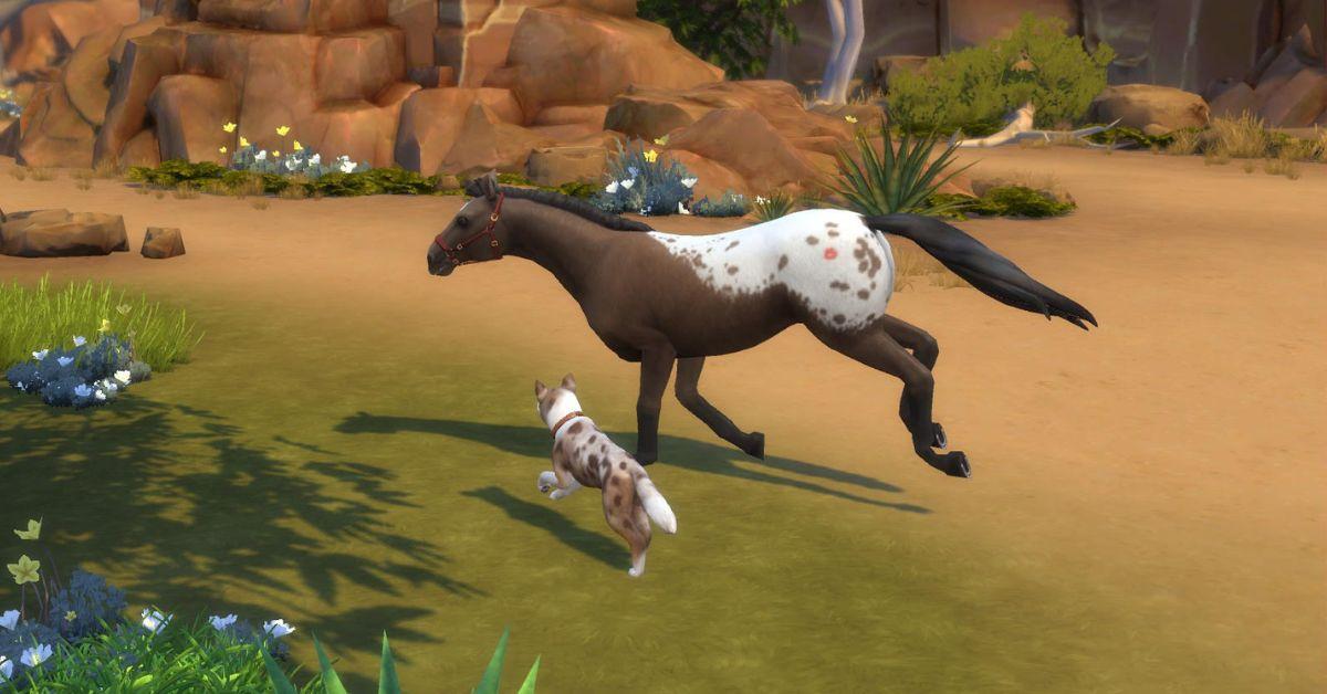 Sims di allevamento di cavalli 4 cani
