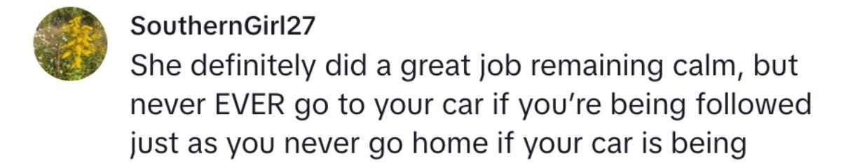 Um comentarista dizendo que as mulheres nunca devem ir sozinhas para o carro se estiverem sendo seguidas