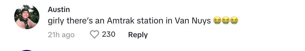 Un utente di TikTok sul post di Ham riguardo al fatto di camminare per quattro ore per andare al lavoro