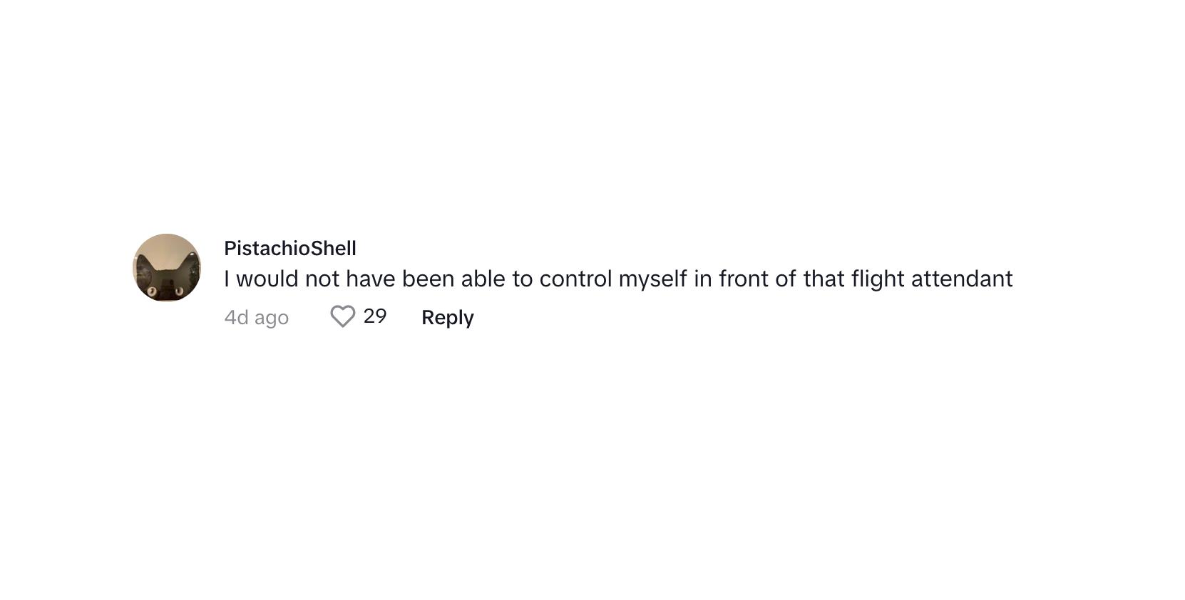 Un commentatore ha detto che non sarebbero stati in grado di controllarsi davanti all'assistente di volo
