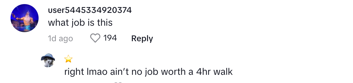 Un utente di TikTok sul post di Ham riguardo al fatto di camminare per quattro ore per andare al lavoro