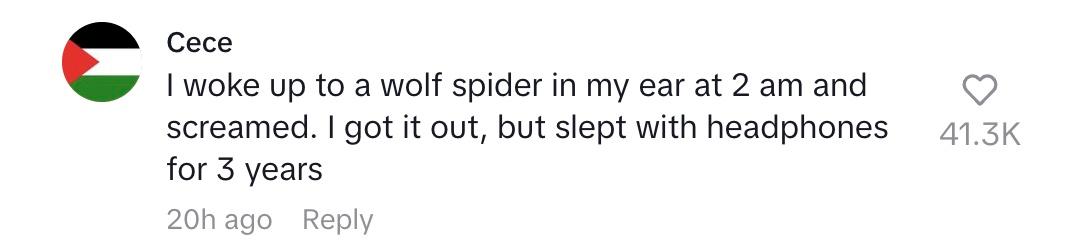 틱톡 댓글 귀에 거미