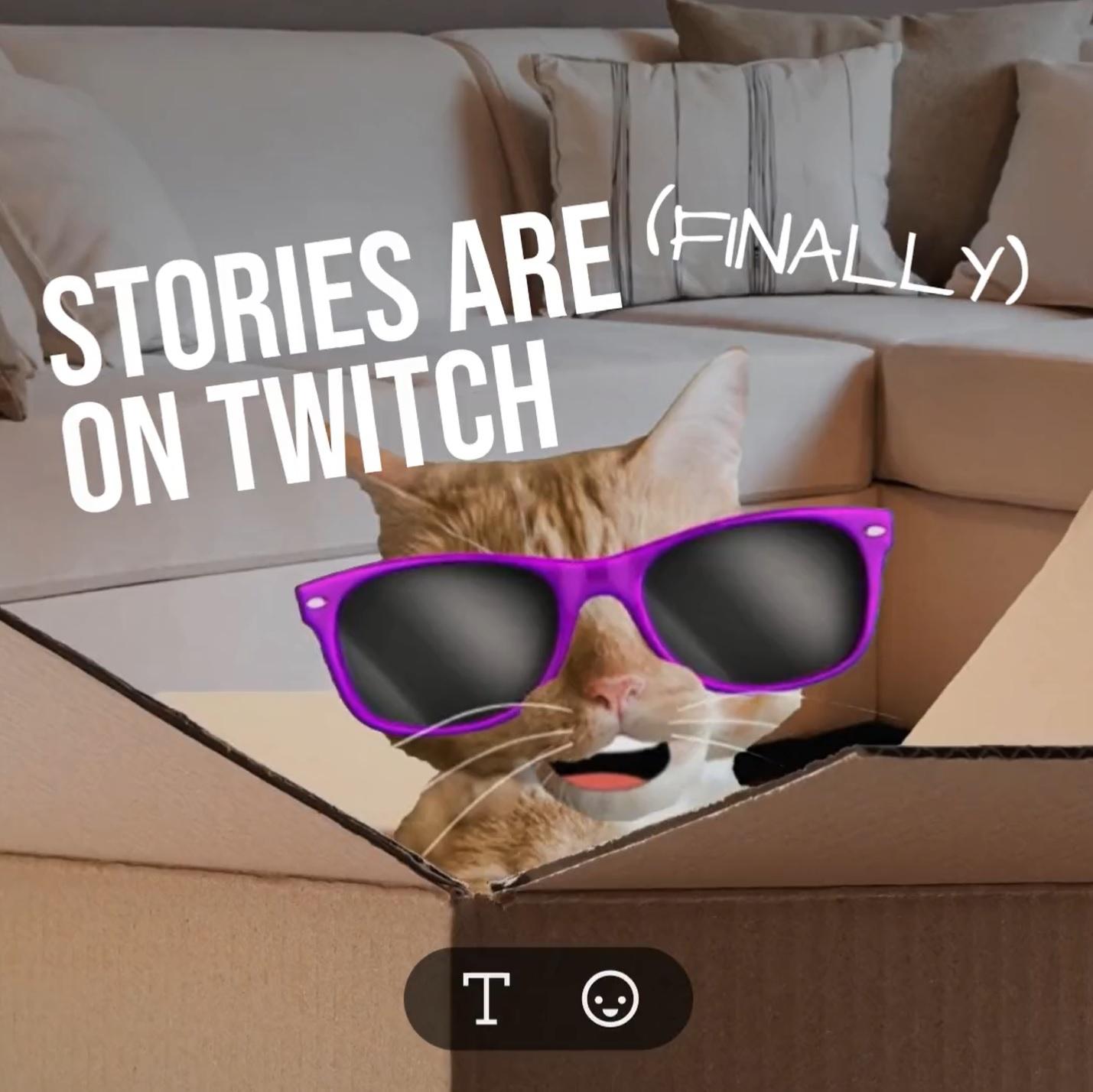 Une histoire Twitch avec un chat portant des lunettes de soleil.