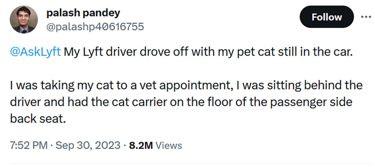 L'autista della Lyft è decollato con un tweet di gatto
