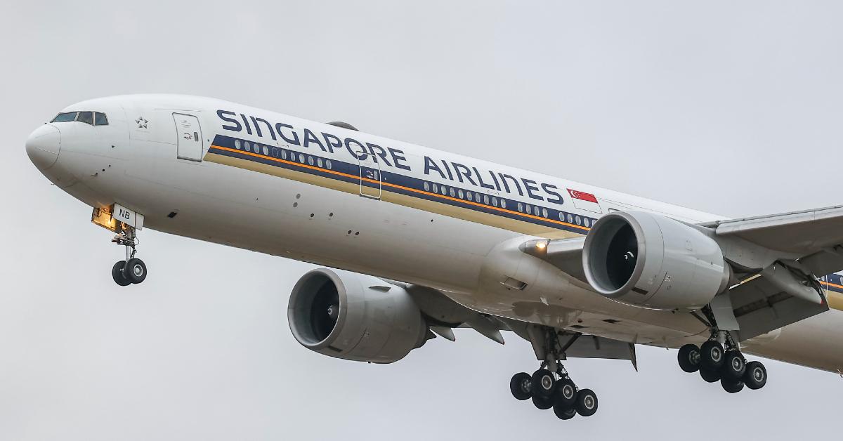 개 비행기 싱가포르