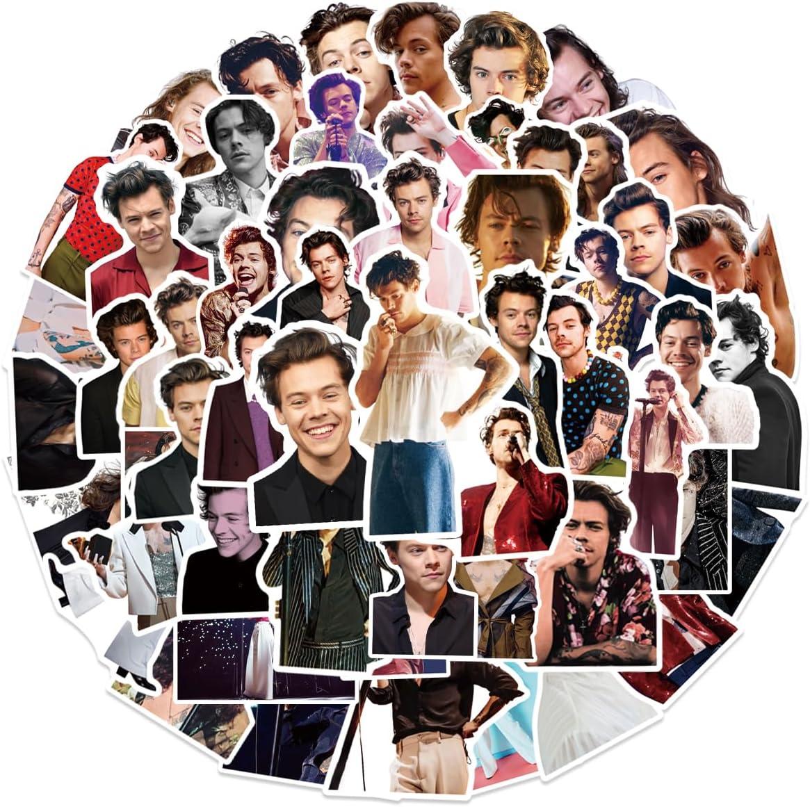 60 adesivi in ​​vinile raffiguranti Harry Styles
