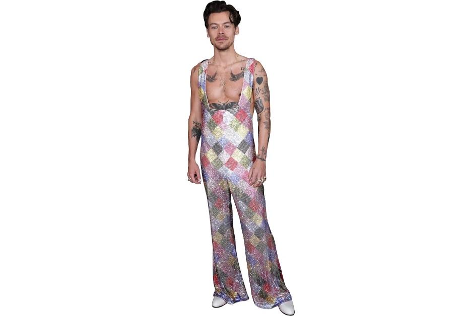 En papudskæring af Harry Styles i regnbueternprint