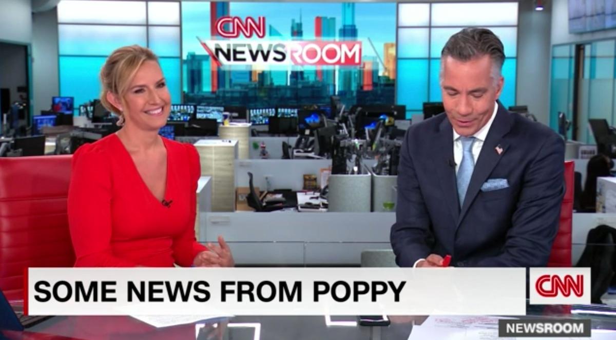 CNN 뉴스룸의 Poppy Harlow, 법학 학위 휴학 발표