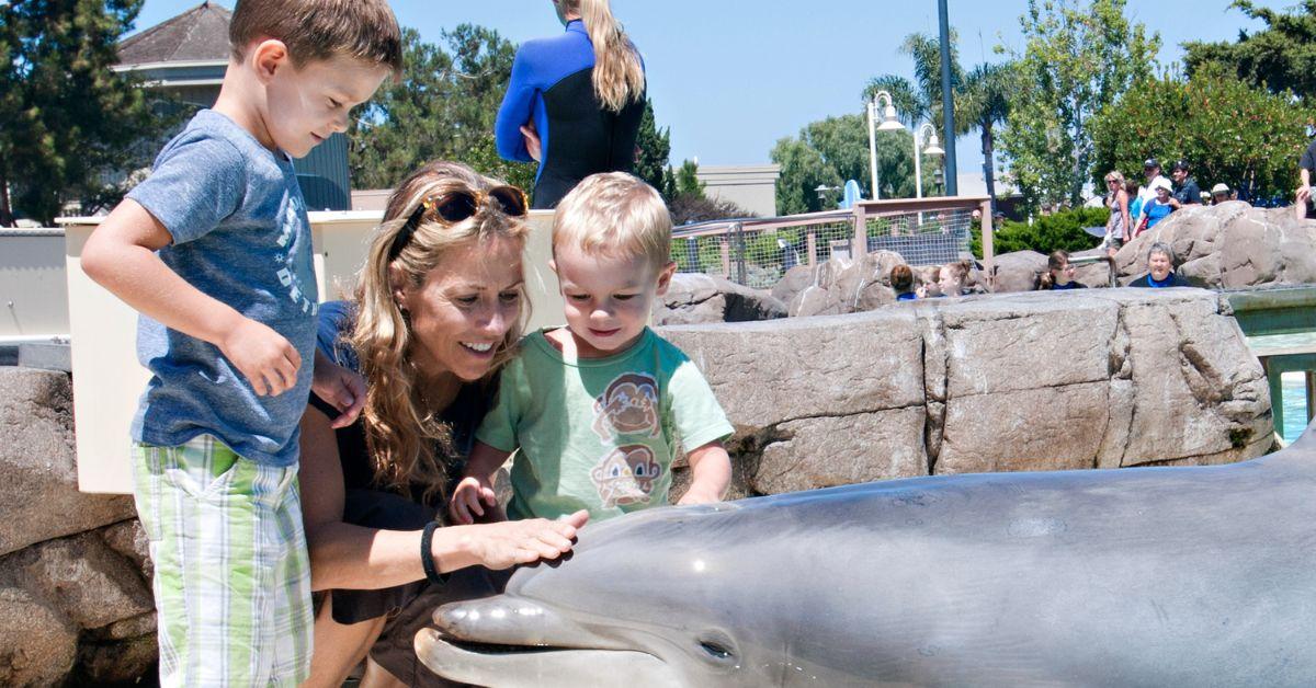 圣地亚哥海洋世界，谢丽尔·克劳 (Sheryl Crow) 和她的儿子们与 22 岁的宽吻海豚史泰姆 (Steime) 在一起 