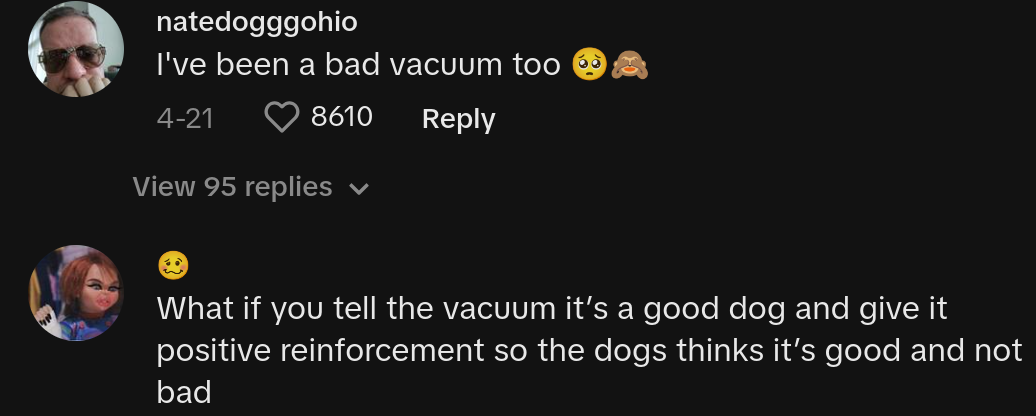 Hundebesitzer schreit Vakuum-Tiktok an