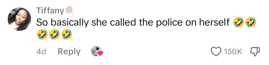 Comentário do TikTok sobre uma Karen em um parque público chamando a polícia