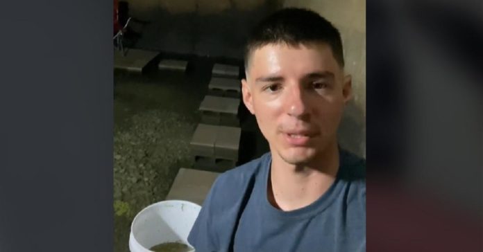 Un uomo ha fatto un pozzo di anguille nel suo seminterrato e TikTok è costretto e respinto
