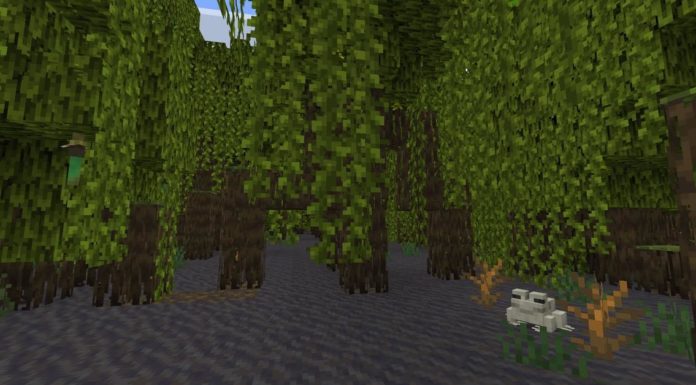 La palude di mangrovie è l'unico posto dove trovare alberi di mangrovie in "Minecraft"

