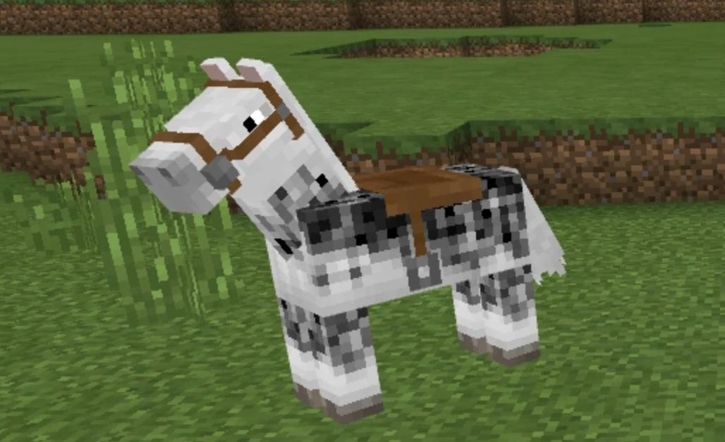 Använd en sadel för att rida vissa djur i "Minecraft"
