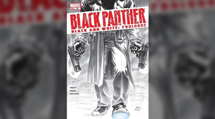 Das MCU könnte eine weitere übermenschliche Raubkatze in „Black Panther 2“ vorstellen
