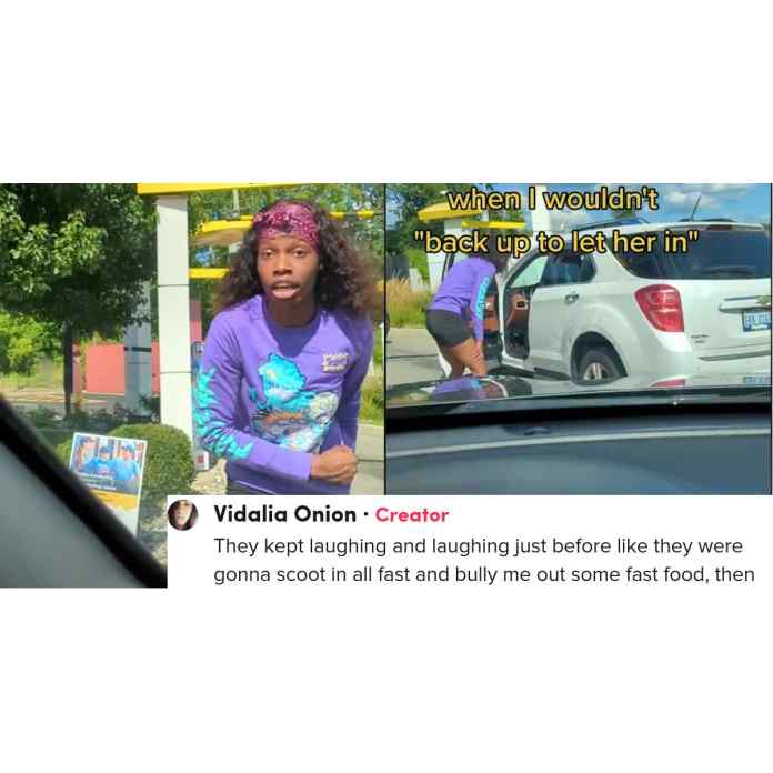 Frau zerstört ihr Auto beim Versuch, die Drive-Thru-Linie von McDonald's zu unterbrechen, und gibt anderen Kunden die Schuld
