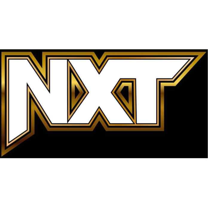 NXT作为WWE的开发品牌——它的名字代表什么？
