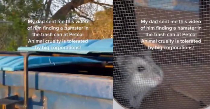 Un homme trouve un hamster vivant dans une benne à ordures Petco, suscitant un débat sur leurs pratiques avec des animaux vivants
