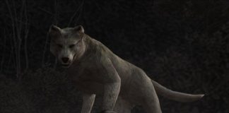 Você ainda consegue resgatar o cão amigo de Leon no remake de 'Resident Evil 4'?

