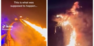 En anamitronisk drake fattade eld i Disneyland och TikTok dokumenterade det hela
