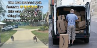 Amazon-chauffør nægter at stige ud af bilen efter at være blevet stirret ned af 2 hunde
