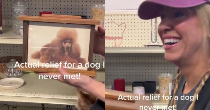 Una donna trova le ceneri del cane nella scatola di Goodwill e le compra per onorare la memoria dell'animale

