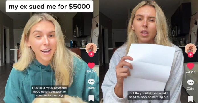 한 여성의 전 남자친구가 반려견의 단독 양육권을 유지하기 위해 그녀를 5,000달러에 고소했습니다.

