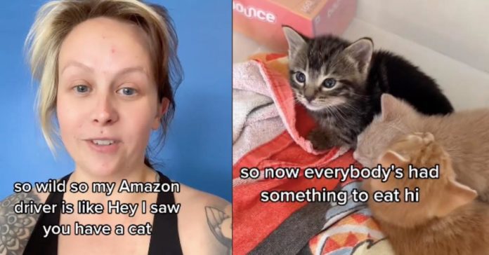 アマゾンのドライバーがこの女性と協力して、赤ちゃんの子猫が入った箱を救った

