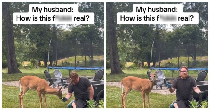 Denne mand blev ven med en hjort i sin baghave, og internettet er besat
