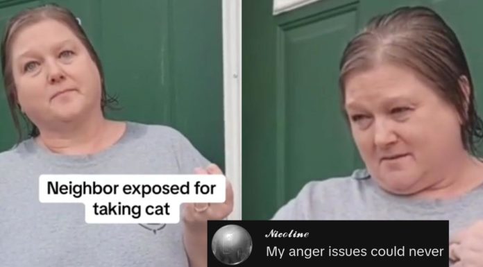“Não venha aqui com uma atitude” – vizinho enfurecedor confrontado por roubar o gato da família
