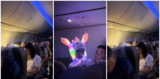 “Minha enxaqueca nunca poderia”: um chapéu infantil com luz estroboscópica interrompe o descanso dos passageiros em um voo
