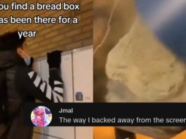 "Sådan begyndte de sidste af os" - Fyr åbner brødkassen efterladt oven på skabet i et år
