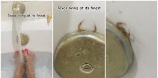 "OMG, han kommer ud" - Texas kvinde finder skorpion i sit badekarafløb
