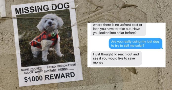 Verkäufer hat die Kühnheit, die Nummer vom Flugblatt „Verlorener Hund“ zu verwenden, um einer Frau eine SMS über den Kauf von Solarenergie zu schicken
