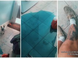 La lavanderia di un uomo distrutta dal detersivo caduto dalla lavatrice

