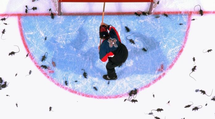 I fan dei Florida Panthers gettano topi sul ghiaccio da decenni, ma perché?
