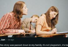 "Ich liebe Karma": Klassenkameradin beschuldigt Frau des Plagiats und es geht schrecklich nach hinten los
